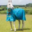Shires Highlander Original 0g Lite Turnout Combo Rug - Teal