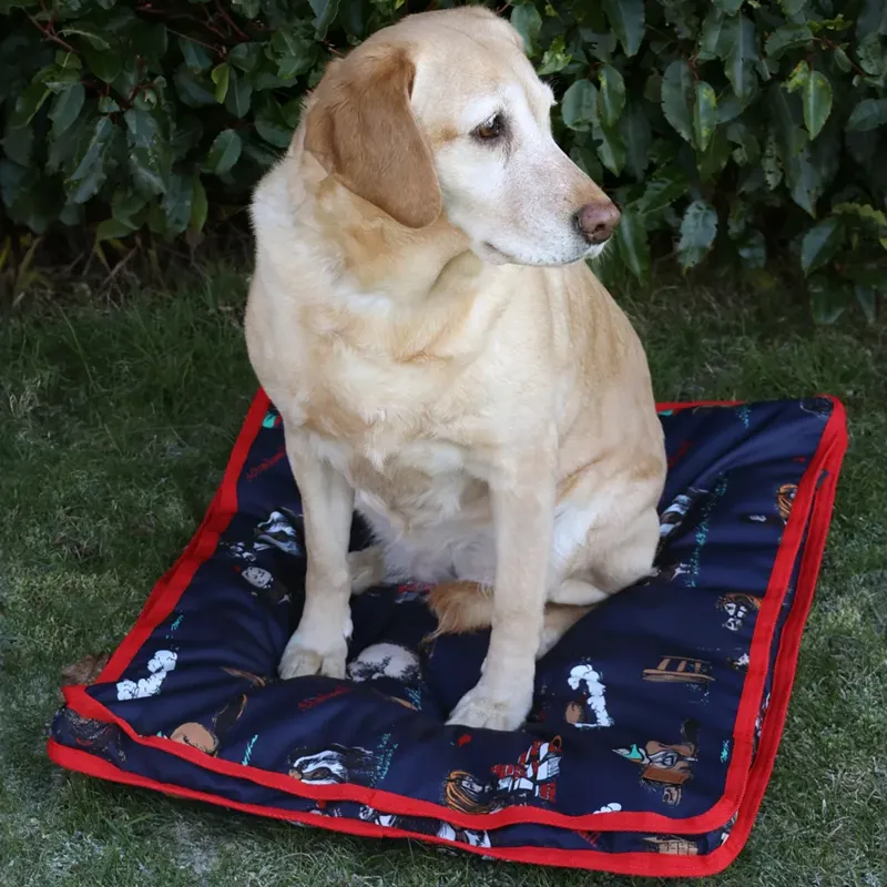 Benji and Flo Thelwell Collection Practice Makes Perfect Dog Bed - Navy/Red-1