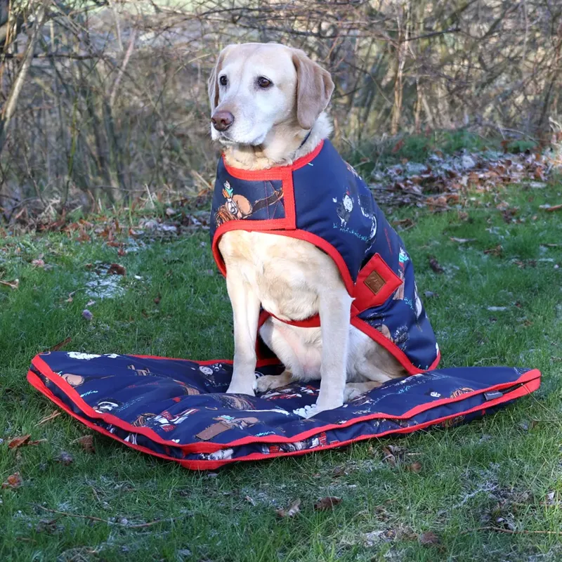 Benji and Flo Thelwell Collection Practice Makes Perfect Dog Bed - Navy/Red