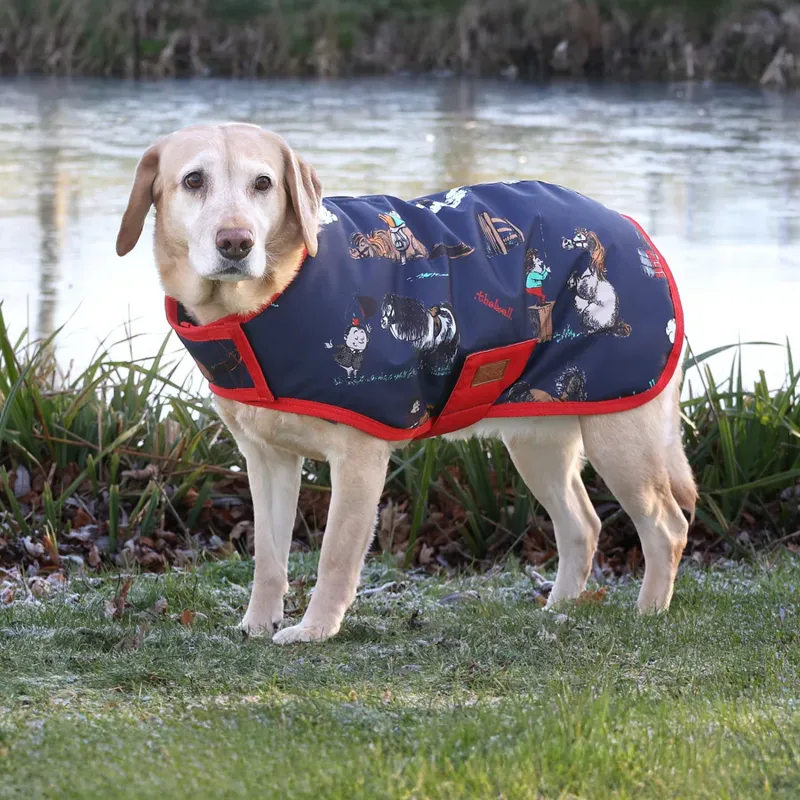 Benji and Flo Thelwell Collection Practice Makes Perfect Dog Coat - Navy/Red