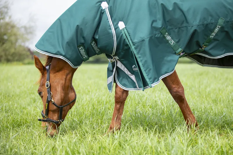 Shires Highlander Original 300g Turnout Combo Rug - Green-6
