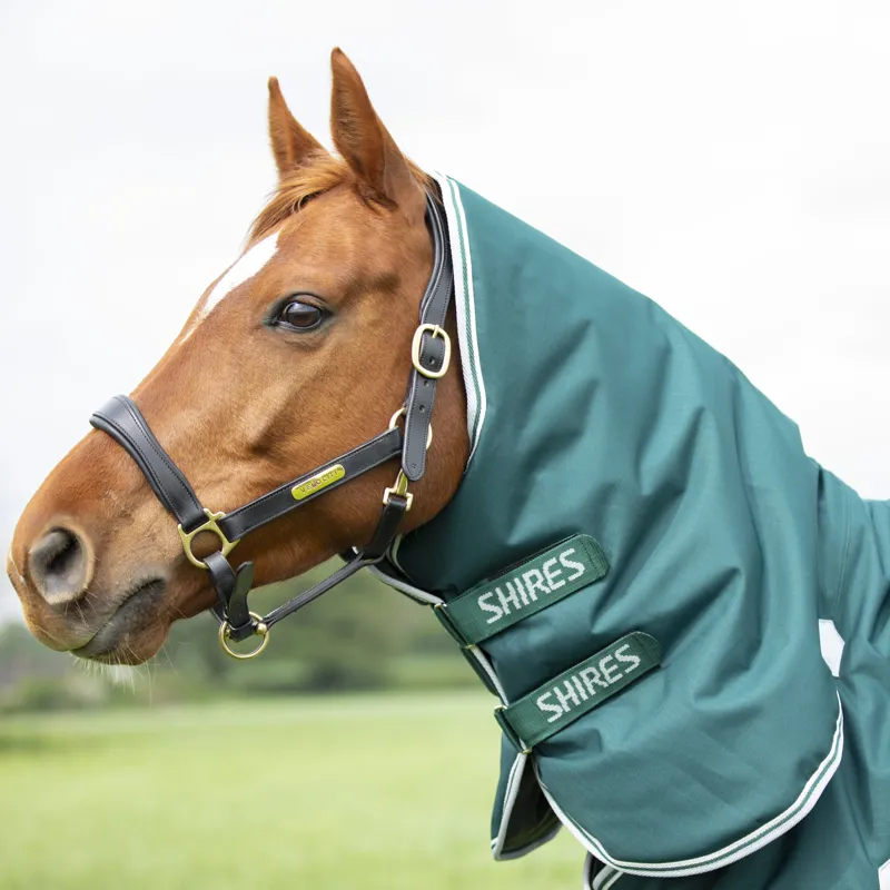 Shires Highlander Original 300g Turnout Combo Rug - Green-1
