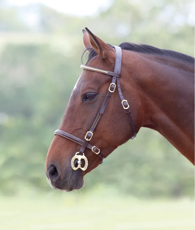 Shires Velociti GARA Clincher Inhand Bridle - Havana