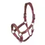Shires Velociti Lusso Padded Leather Headcollar - Burgundy