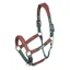 Shires Velociti Lusso Padded Leather Headcollar - Green