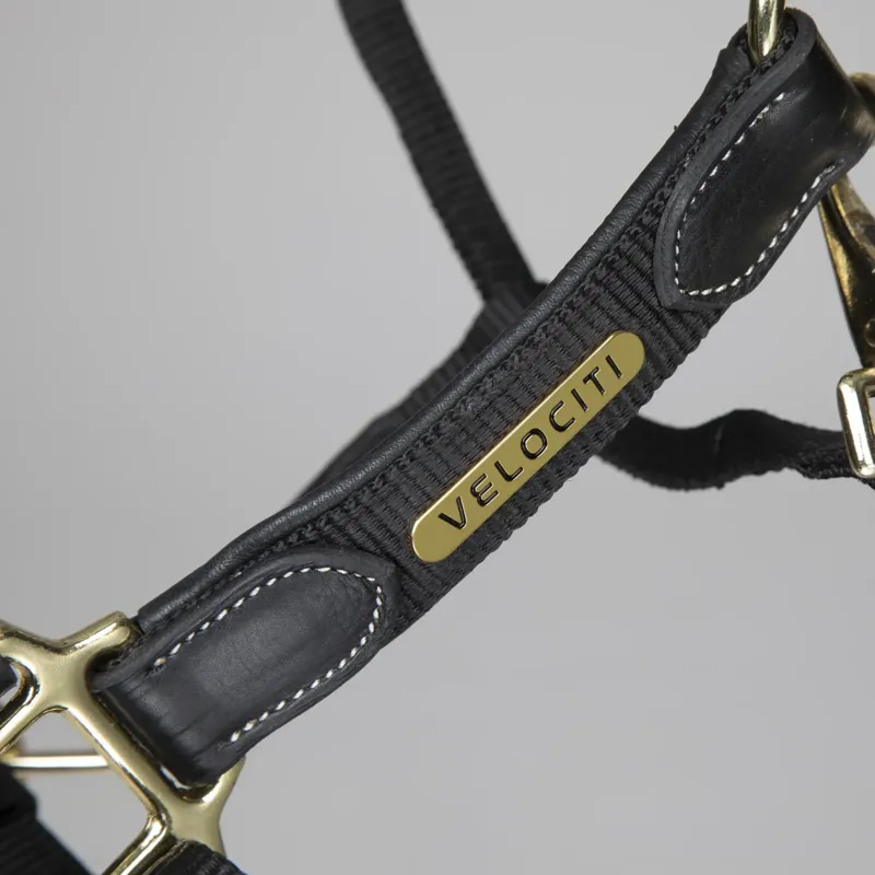 Shires Velociti Lusso Padded Leather Headcollar - Black - Pony-1