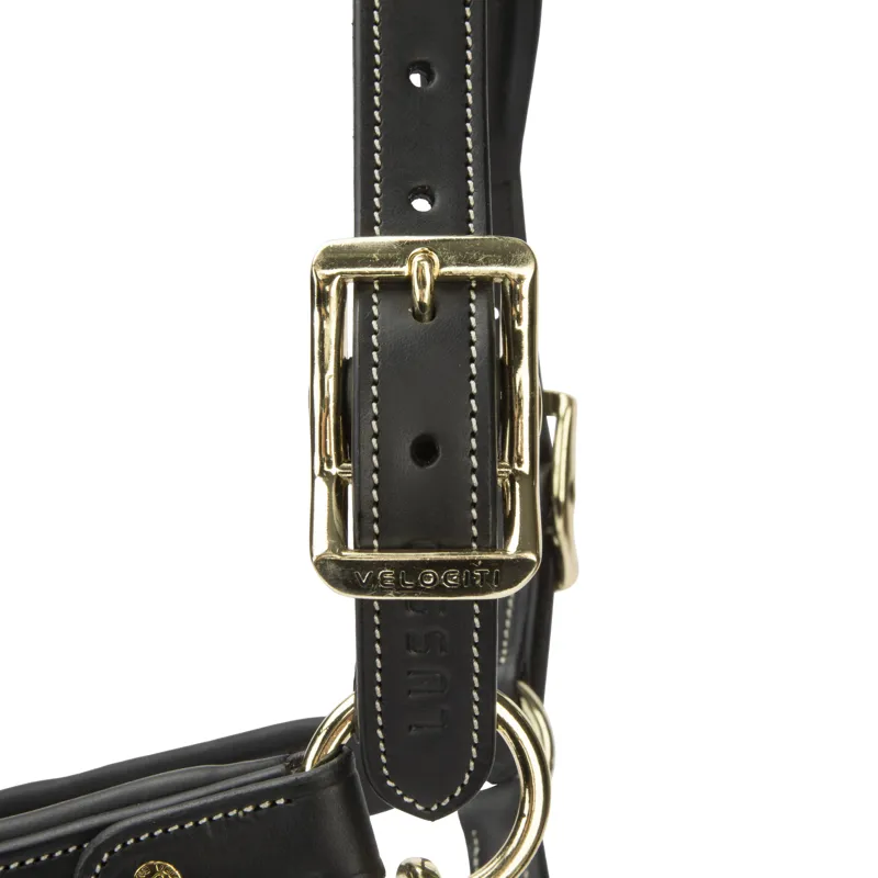 Shires Velociti Lusso Lorca Leather Headcollar - Black-3