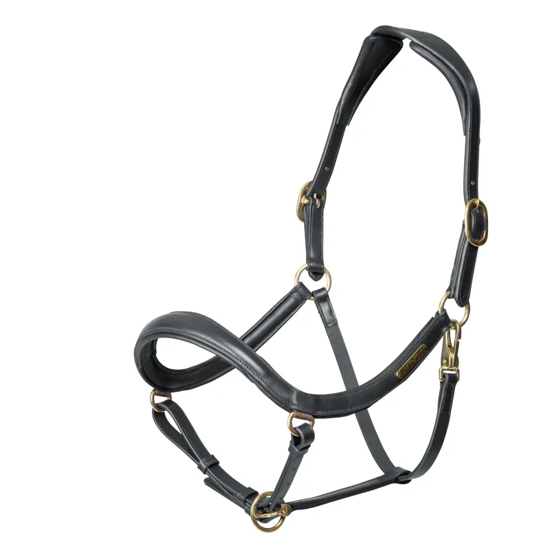 Shires Velociti Rapida Curved Leather Headcollar - Black - Full - Unboxed