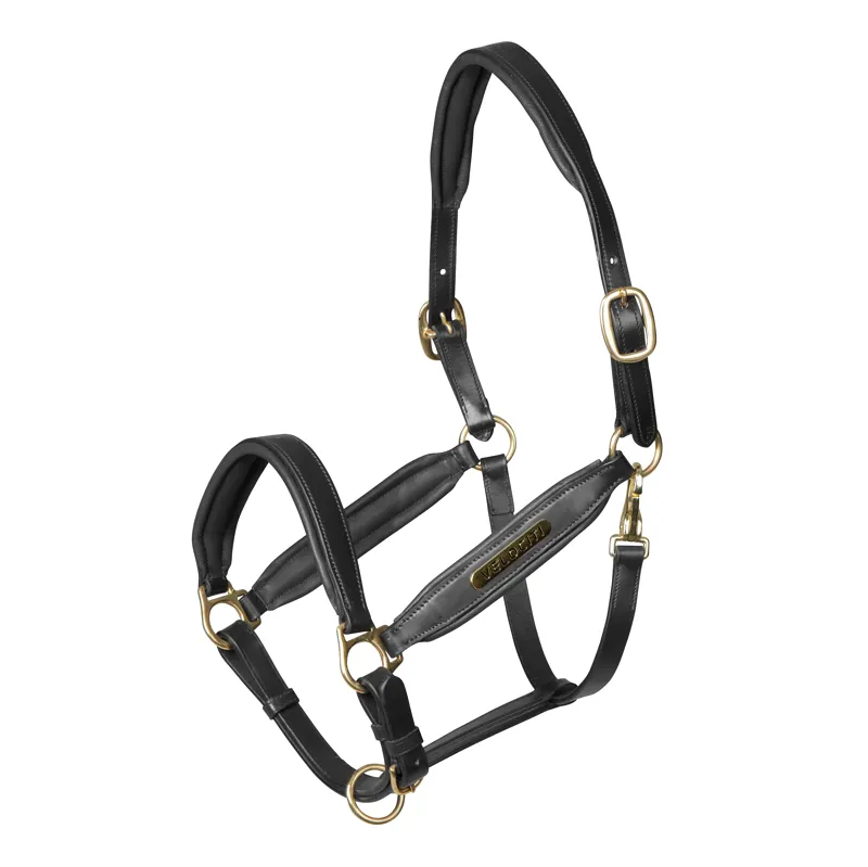 Shires Velociti Gara Leather Headcollar - Black