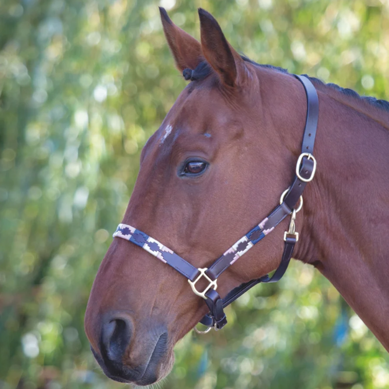 Shires Velociti GARA Leather Polo Headcollar - Pink/Natural/Navy-1