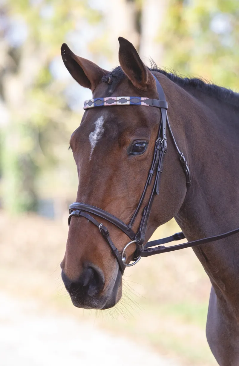 Shires Velociti GARA Leather Polo Browband - Pink/Natural/Navy