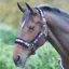 Shires Polo Fleece Lined Headcollar - Pink/Natural/Navy