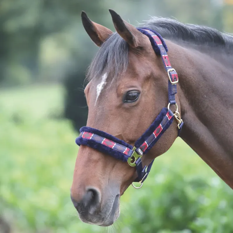 Shires Polo Fleece Lined Headcollar - Red/Navy