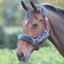 Shires Fleece Lined Headcollar - Burgundy/Grey