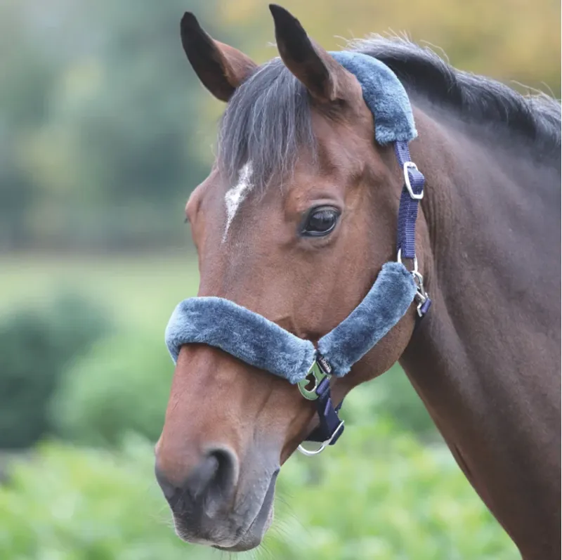 Shires Fleece Lined Headcollar - Navy/Grey