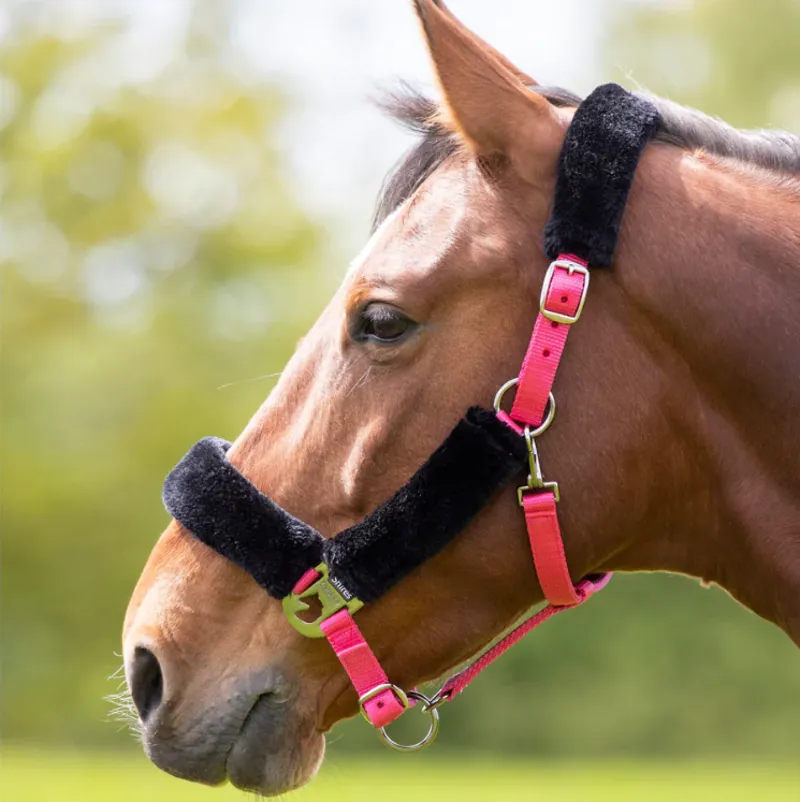 Shires Fleece Lined Headcollar - Pink