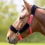 Shires Fleece Lined Headcollar - Pink