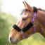 Shires Fleece Lined Headcollar - Purple