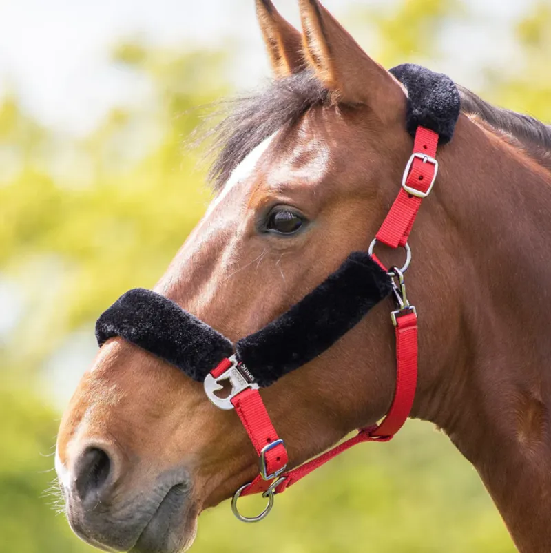 Shires Fleece Lined Headcollar - Red