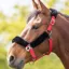 Shires Fleece Lined Headcollar - Red