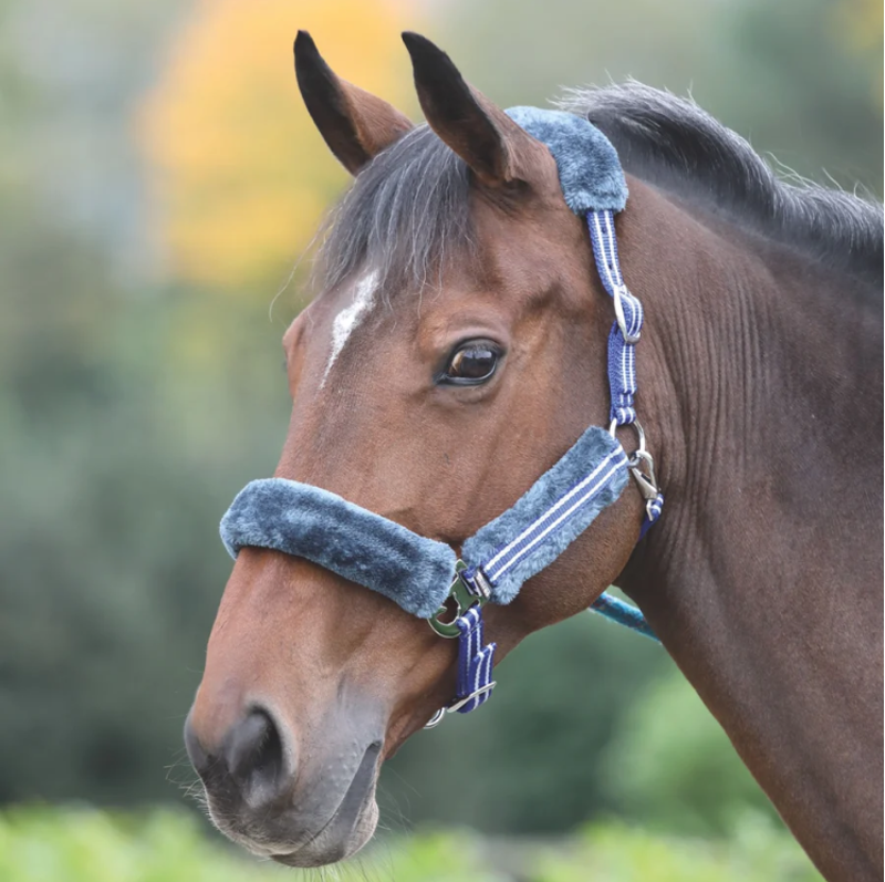 Shires Stripe Fleece Lined Headcollar - Blue