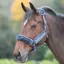 Shires Stripe Fleece Lined Headcollar - Blue