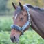 Shires Stripe Fleece Lined Headcollar - Green