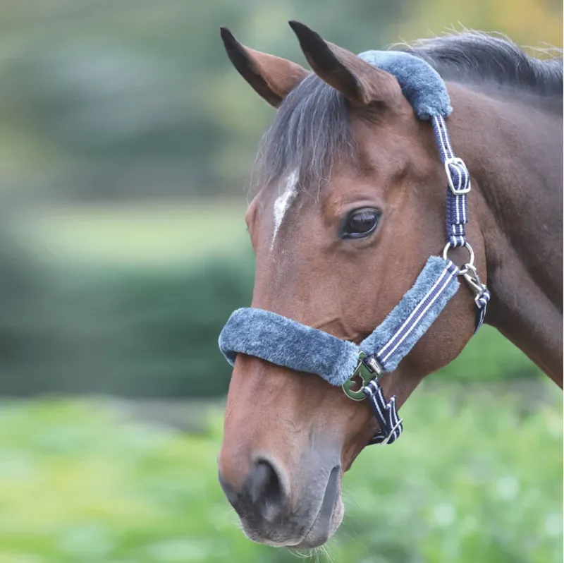 Shires Stripe Fleece Lined Headcollar - Navy