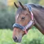 Shires Stripe Fleece Lined Headcollar - Pink