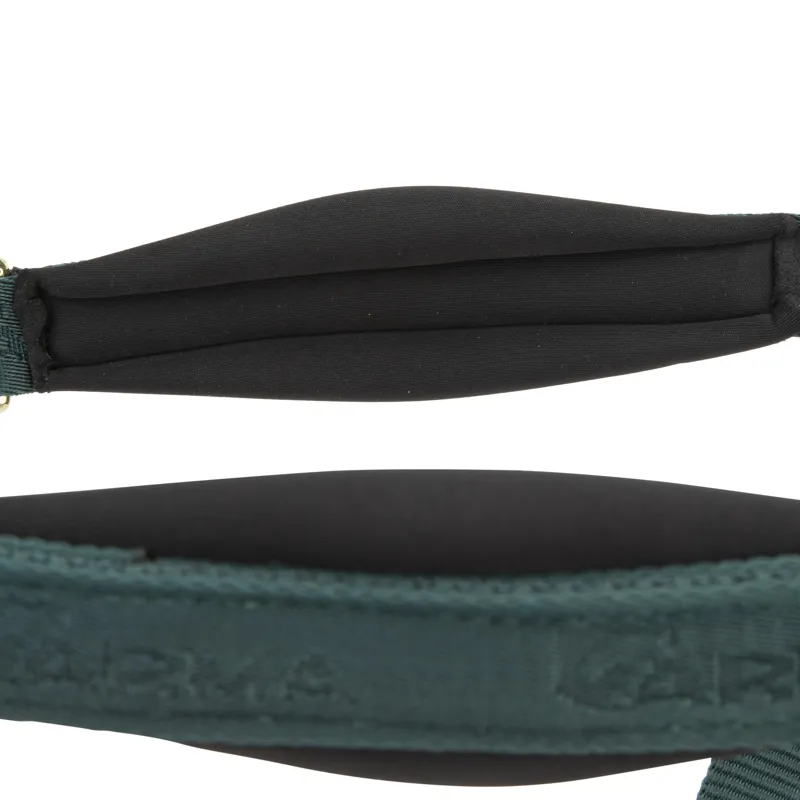 Shires ARMA Padded Headcollar - Green-6
