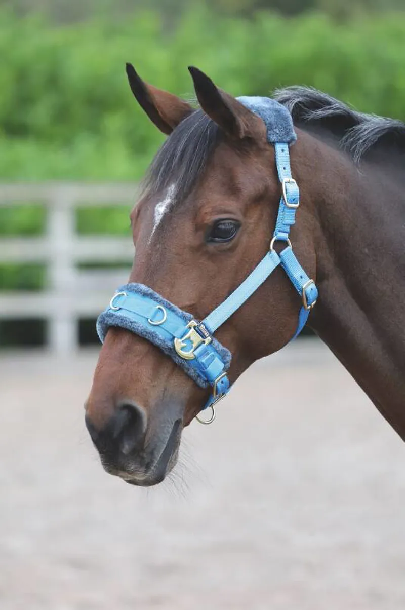 Shires Fleece Lined Lunge Cavesson - Blue