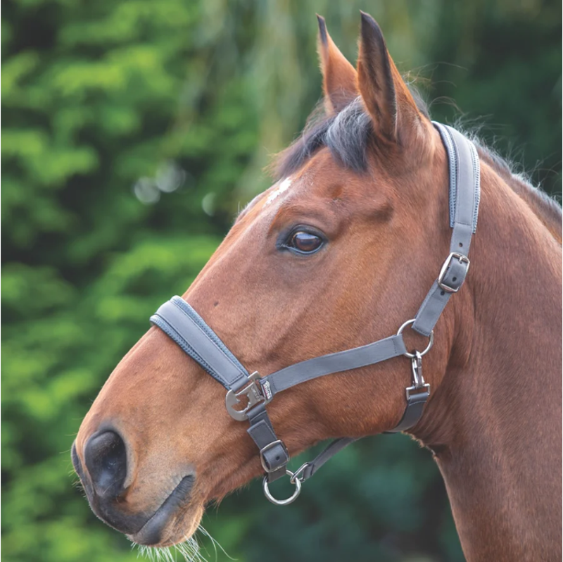 Shires Padded Headcollar - Grey