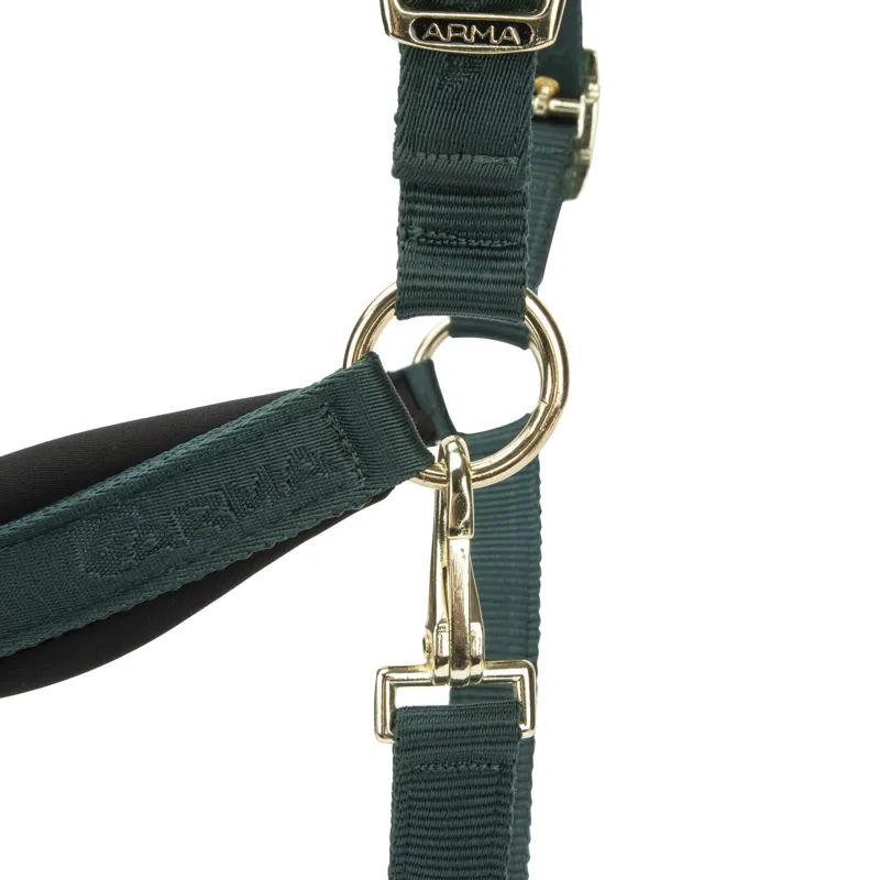 Shires ARMA Padded Headcollar - Green-2