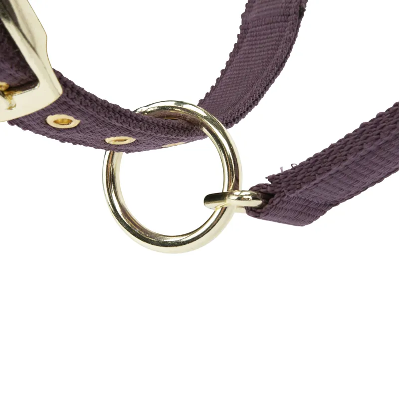Shires ARMA Padded Headcollar - Black Cherry-4