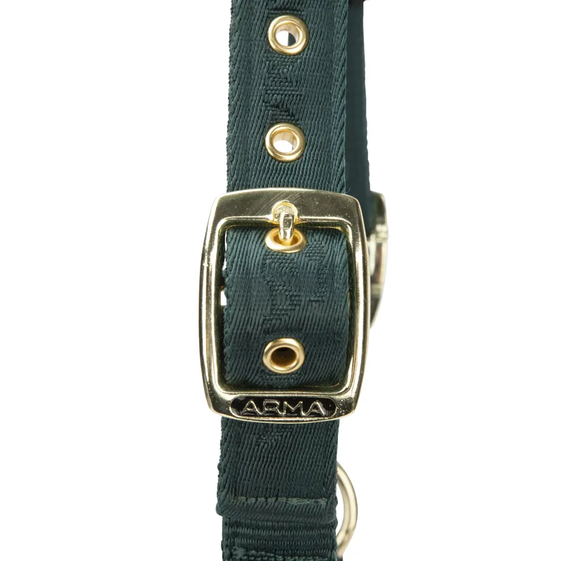 Shires ARMA Padded Headcollar - Green-1