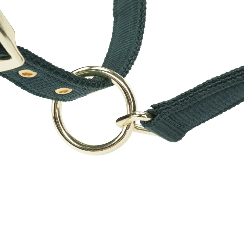 Shires ARMA Padded Headcollar - Green-5
