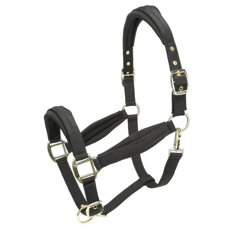 Shires ARMA Padded Headcollar - Black