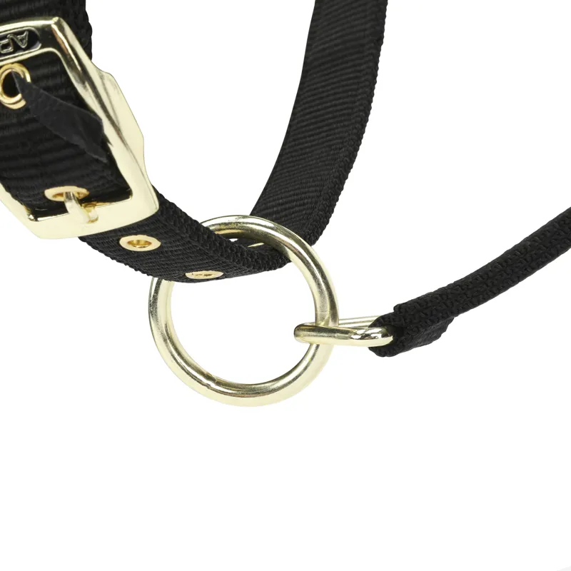 Shires ARMA Padded Headcollar - Black-5