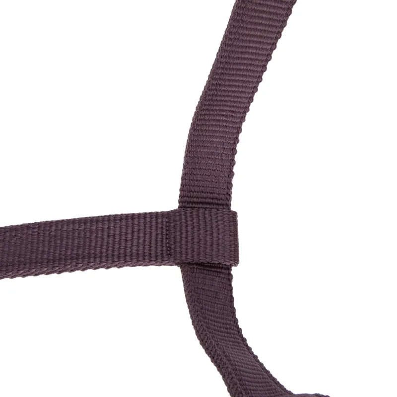 Shires ARMA Padded Headcollar - Black Cherry-6