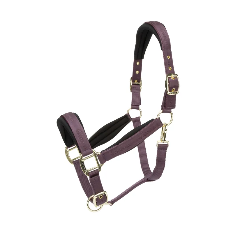 Shires ARMA Padded Headcollar - Black Cherry