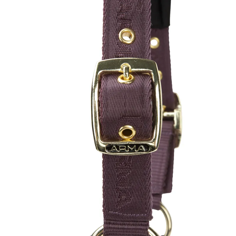 Shires ARMA Padded Headcollar - Black Cherry-1