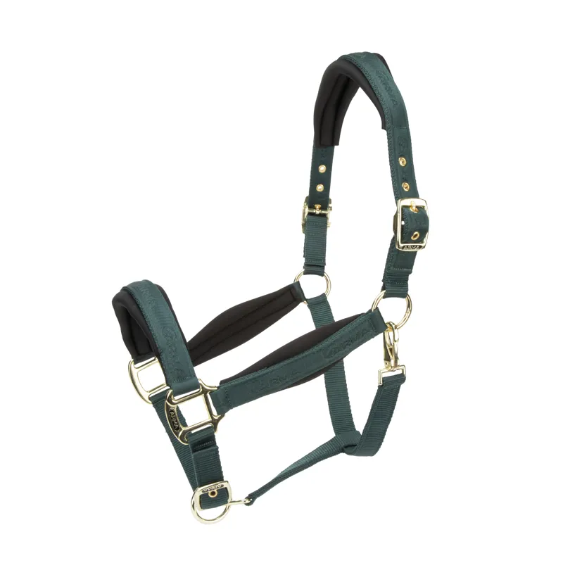 Shires ARMA Padded Headcollar - Green