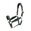 Shires ARMA Padded Headcollar - Green