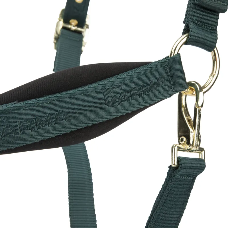 Shires ARMA Padded Headcollar - Green-3