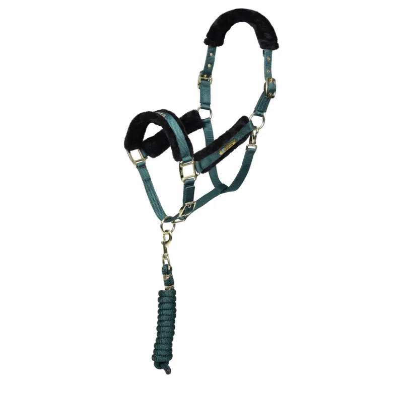 Shires ARMA Logo Headcollar and Lead Rope - Green
