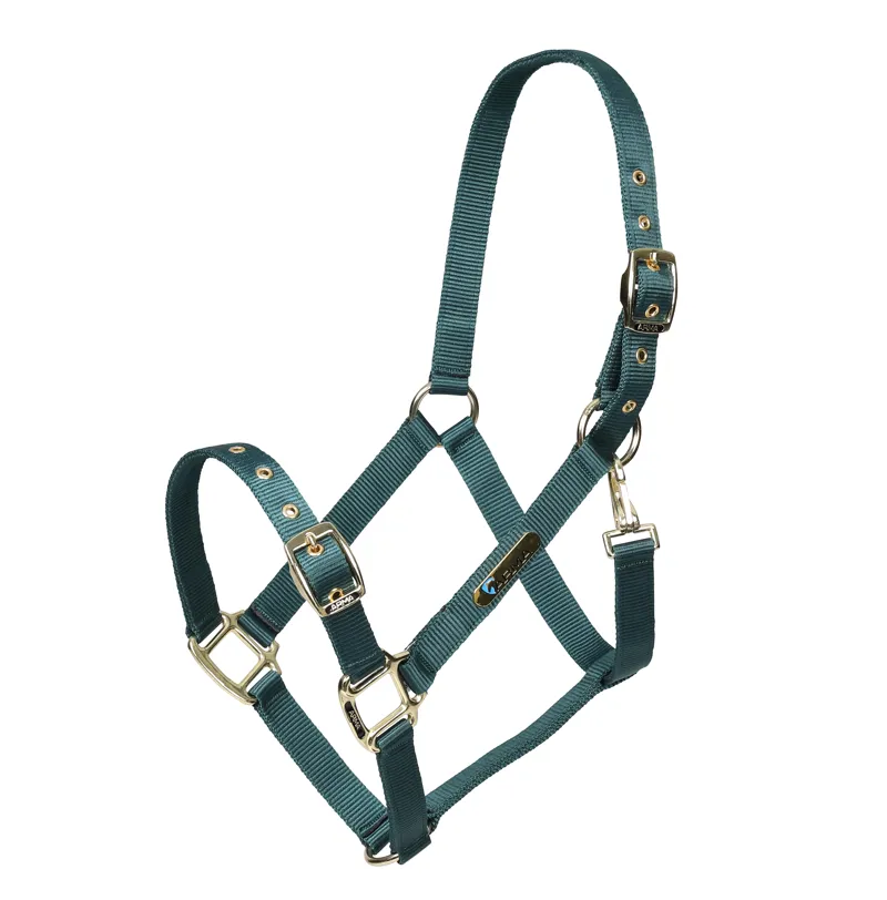 Shires ARMA Adjustable Headcollar - Green