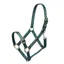 Shires ARMA Adjustable Headcollar - Green