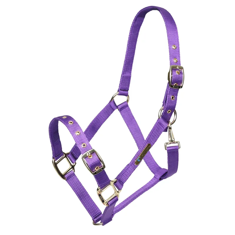 Shires ARMA Adjustable Headcollar - Purple