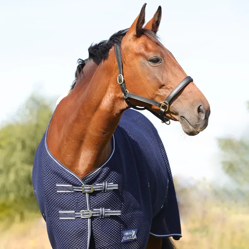 StormX Empra AirFlex 3D Rug - Navy-1