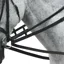 Shires Velociti GARA Cotton Web Draw Reins - Black